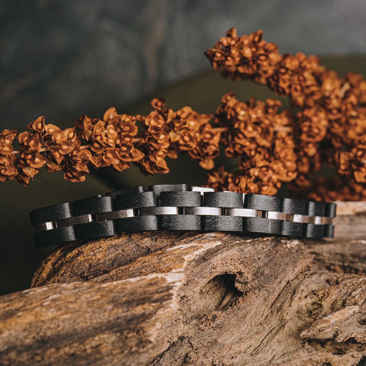 Fantasia (Maple/Silver) | Holzkern