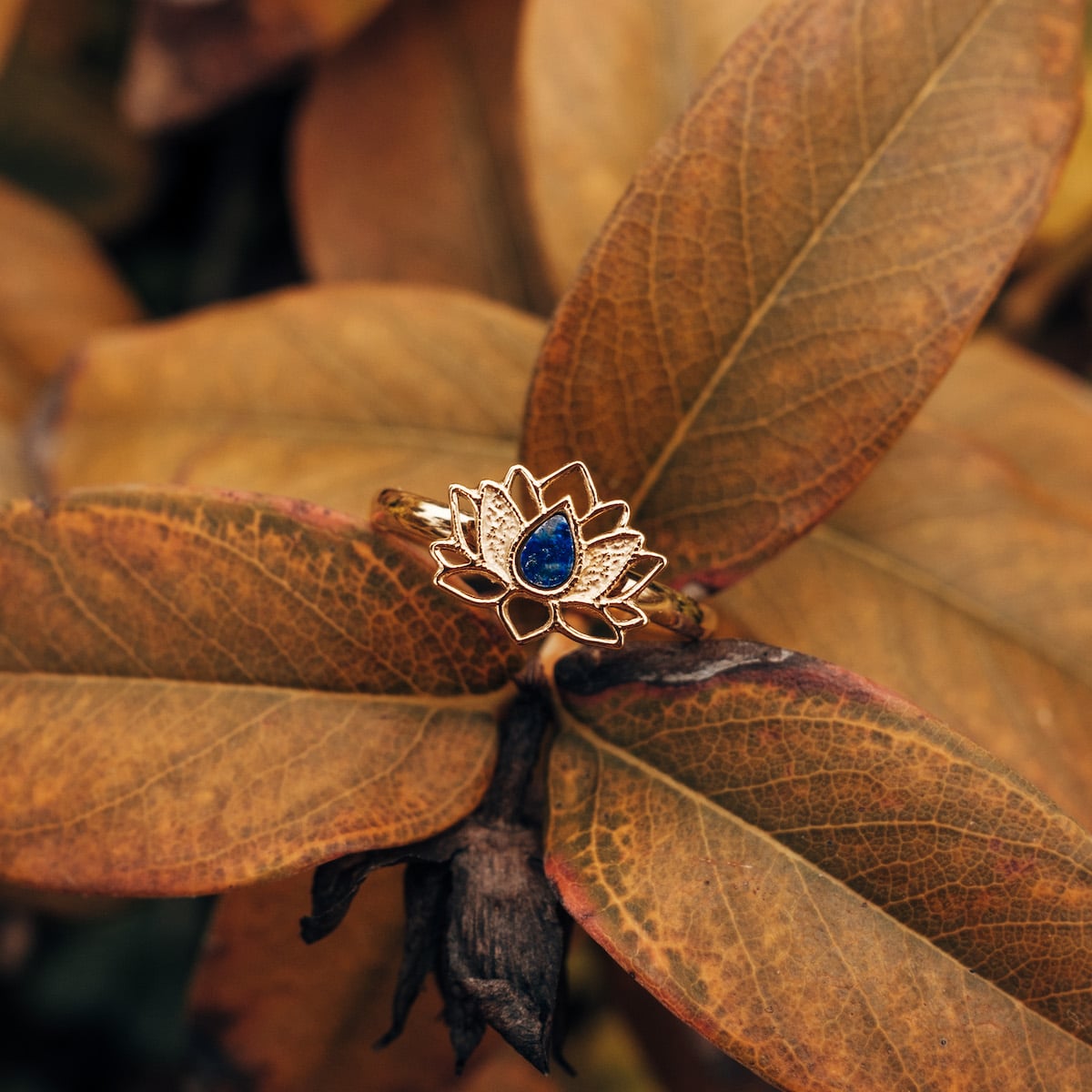 "Balance Ring" ring, featuring lapis lazuli and gold, with an elegant, nature-inspired design.