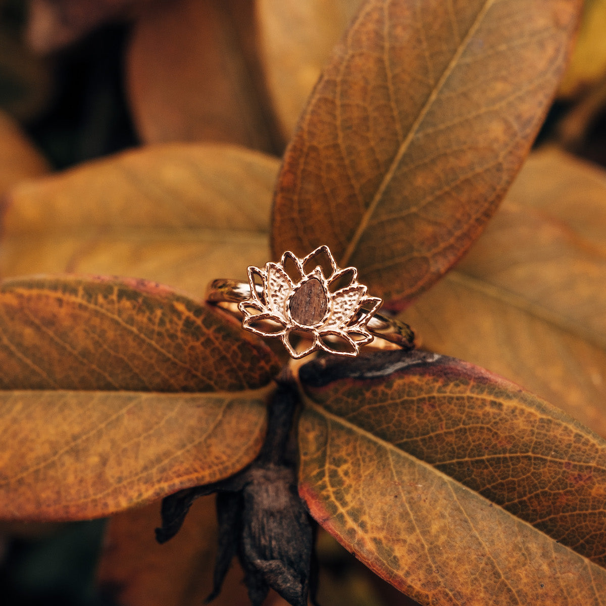 "Balance Ring" ring blends walnut and rose gold, featuring an intricate design with warm, earthy tones.
