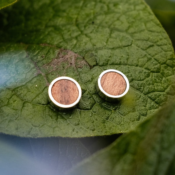 Boucles d'oreilles Pigment (Koa/Platine)