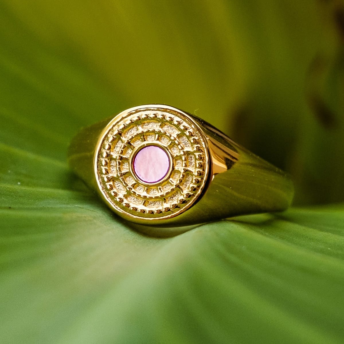 "Pixa Ring", a gold ring featuring pink nacre with intricate circular design on a green leaf backdrop.