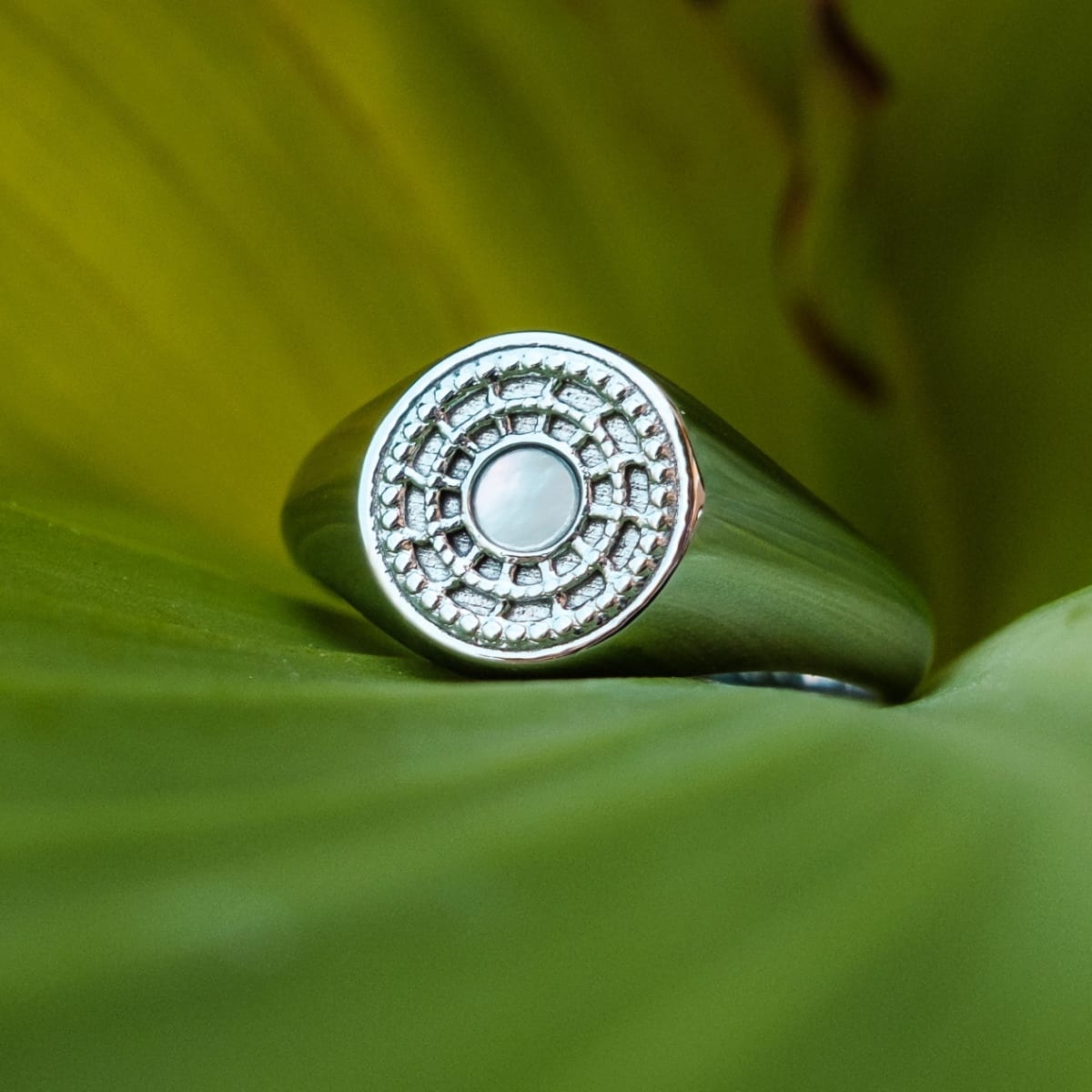 "Pixa Ring", a stylish ring, features a nacre center and intricate silver detailing against a soft green background.