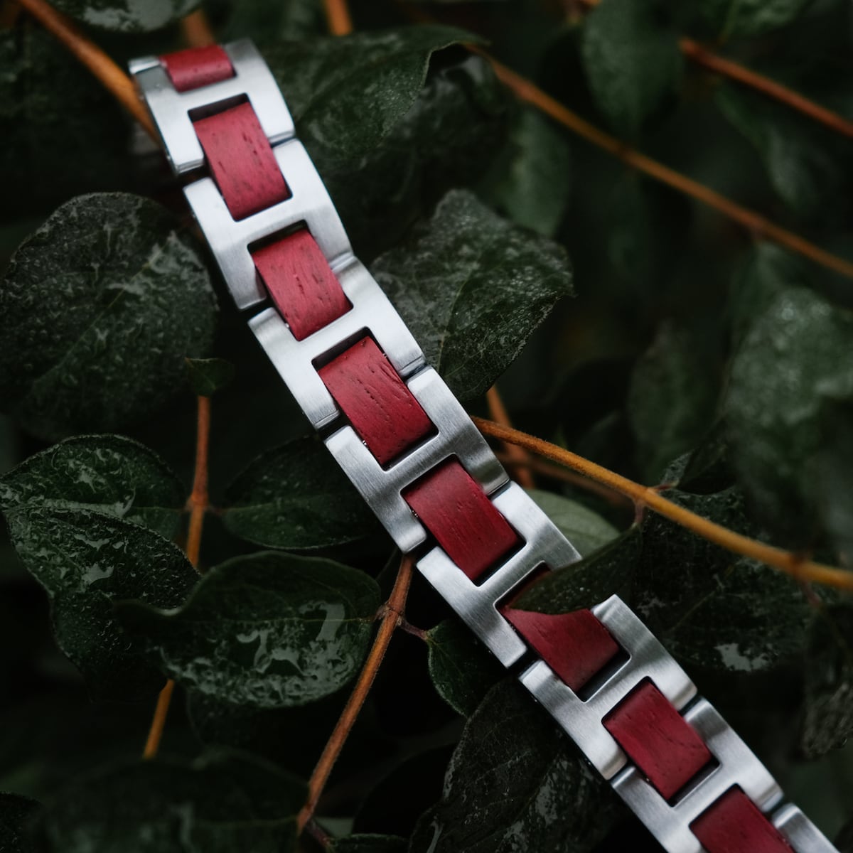 "Acoustic" bracelet featuring amaranth and silver design in a natural setting.