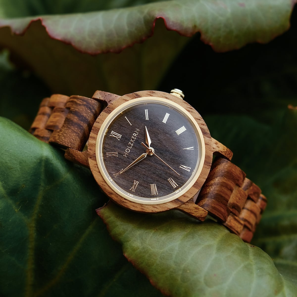 Earth (Zebrawood/Maple) | Holzkern Wood Watches