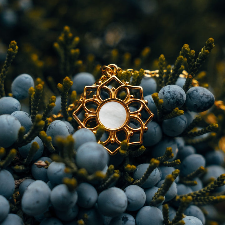 "Composition Necklace" necklace featuring a floral gold design with white nacre, set against natural greenery for an elegant aesthetic.