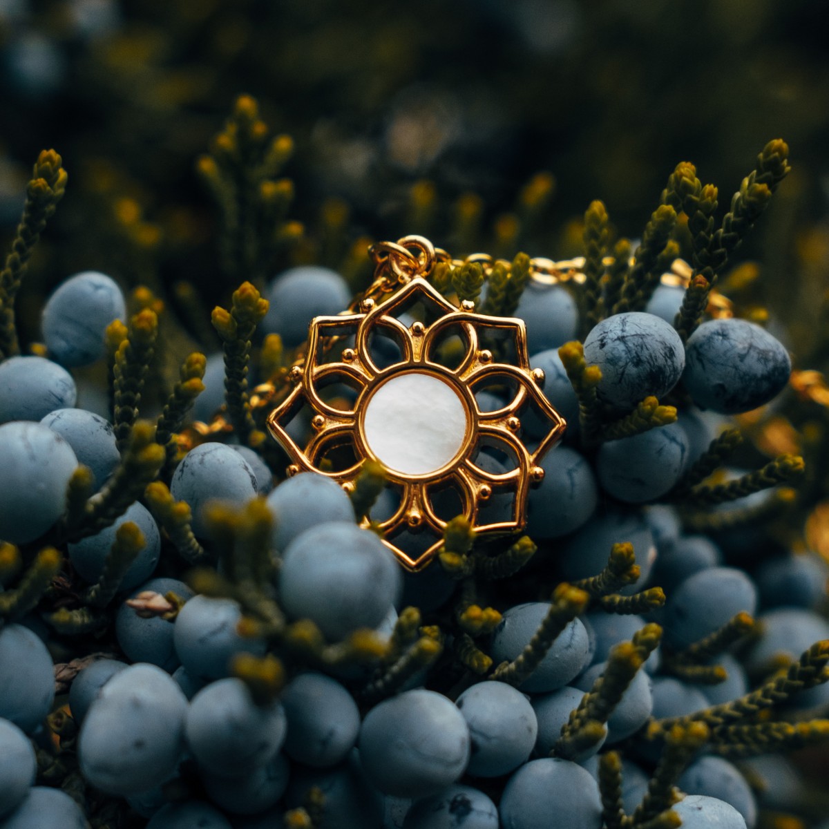 Collier "Composition Collier" avec un motif en or floral avec nacre blanche, placé contre la verdure naturelle pour une esthétique élégante.