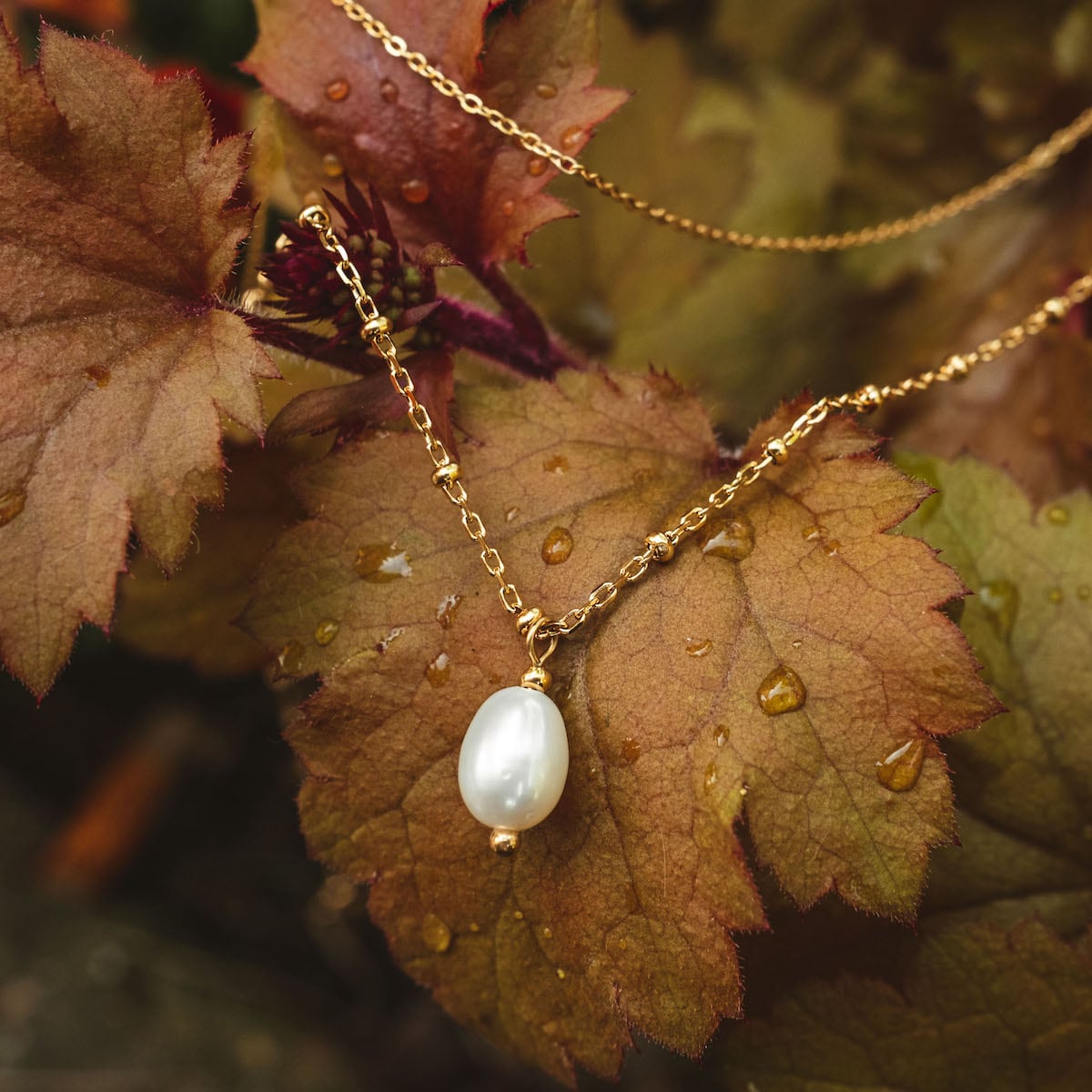 Collier "Panoramic Collier" avec pendentif en perles blanches sur une chaîne délicate en or, élégamment décoré contre les feuilles d'automne.