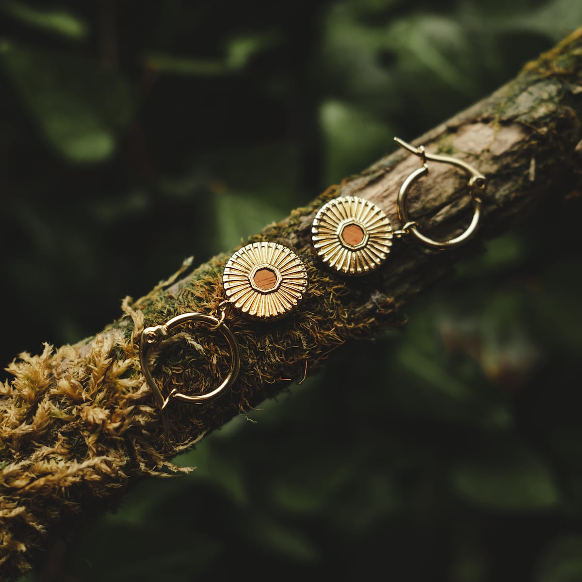 "Stencil Earrings": Elegant Koa and Gold Stencil Earrings with a Radiant Design, Set Against a Natural Background.