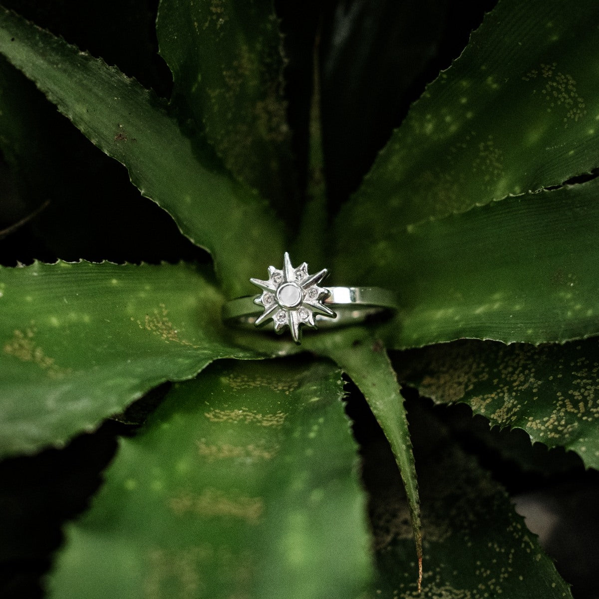 Asterisk Ring (Weißes Perlmutt/Silber)