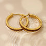 Homecoming Ohrringe (Koa/Gold) 4