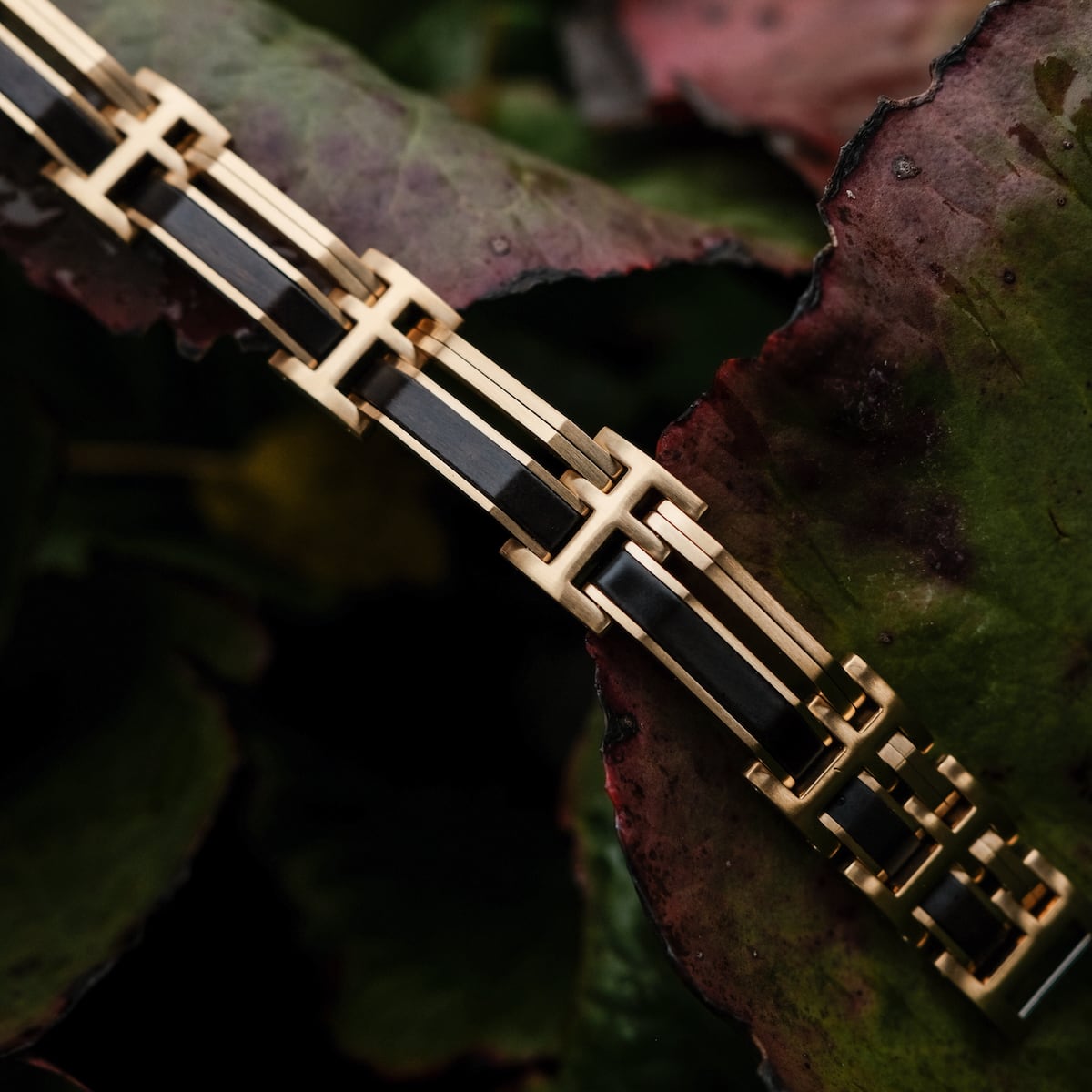 Staccato (Maple/Gold)