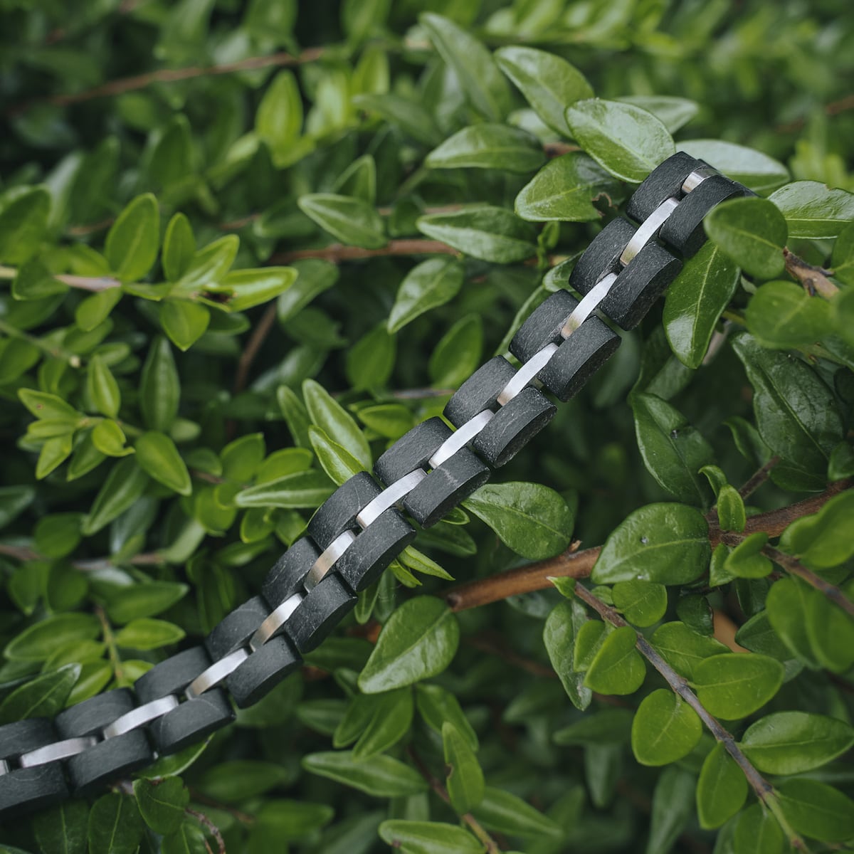 Fantasia (Maple/Silver) | Holzkern