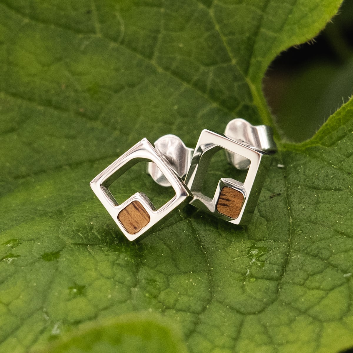 "Geometric Earrings", geometric earrings in koa and silver, featuring a modern square design.