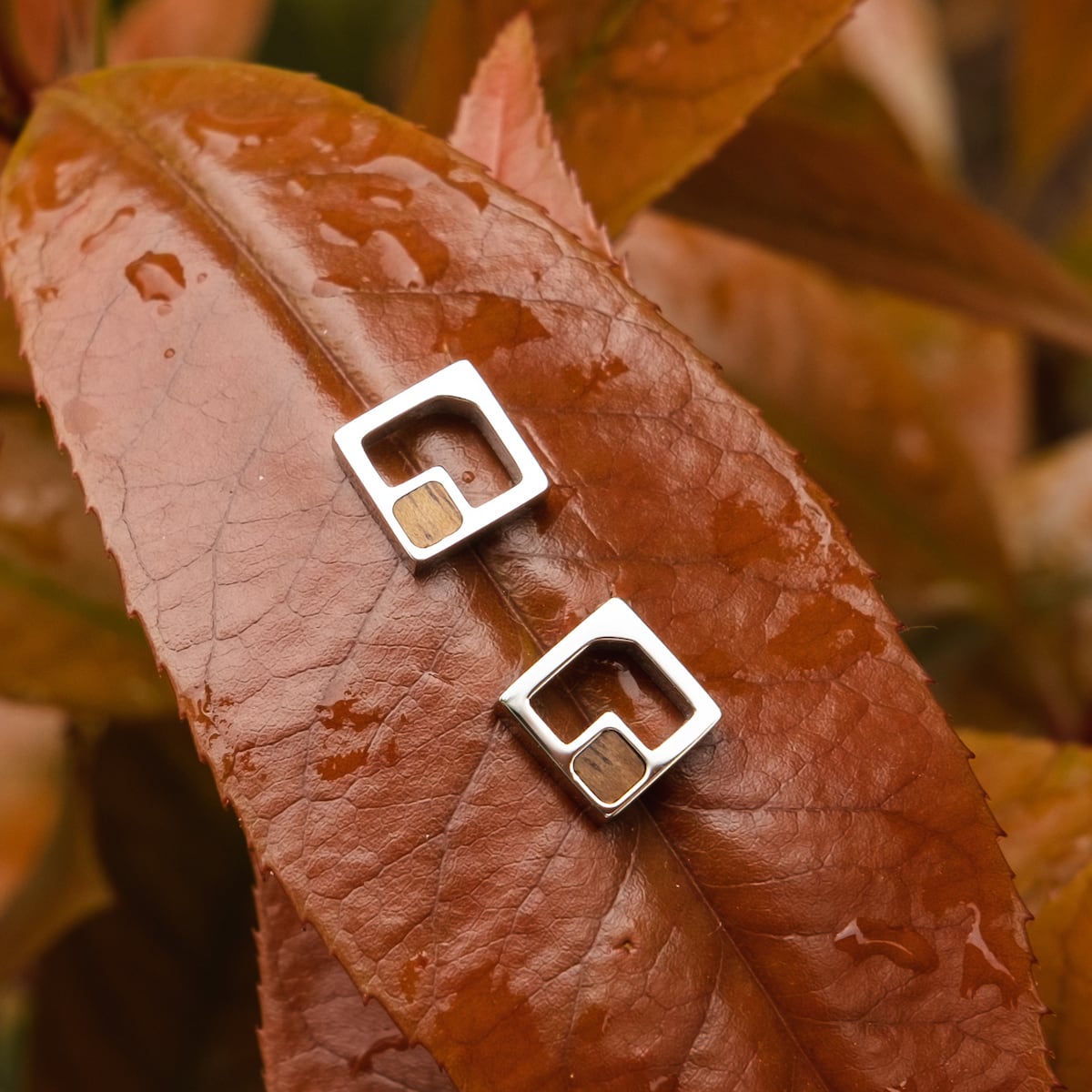 "Geometric Earrings" earrings featuring a geometric design with koa wood and silver accents on a warm-toned leaf background.